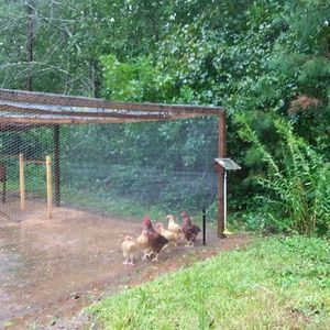 Meet your Posher, Jenniffer